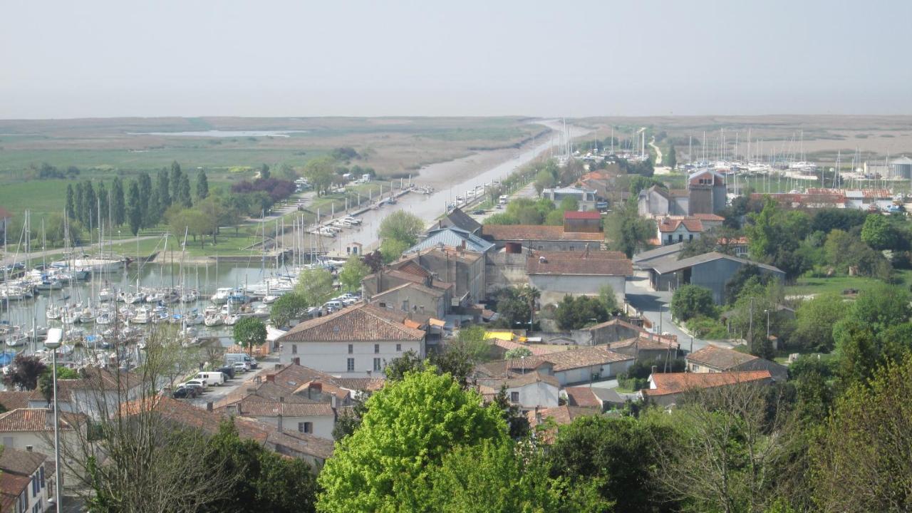 Grande Maison Charentaise Avec Vue Sur Le Chenal Superbes Couches De Soleil Sur L Estuaire De La Gironde! Mortagne-sur-Gironde Екстериор снимка