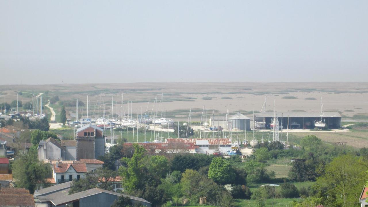Grande Maison Charentaise Avec Vue Sur Le Chenal Superbes Couches De Soleil Sur L Estuaire De La Gironde! Mortagne-sur-Gironde Екстериор снимка