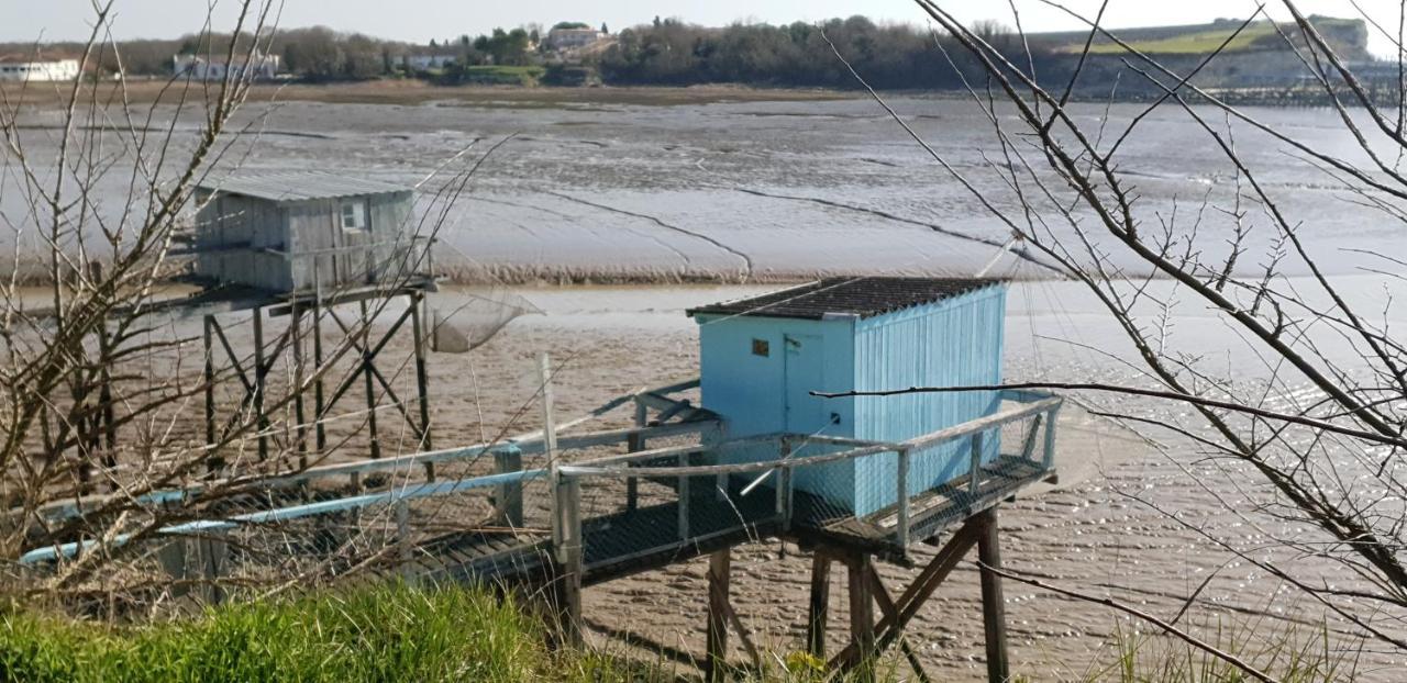 Grande Maison Charentaise Avec Vue Sur Le Chenal Superbes Couches De Soleil Sur L Estuaire De La Gironde! Mortagne-sur-Gironde Екстериор снимка